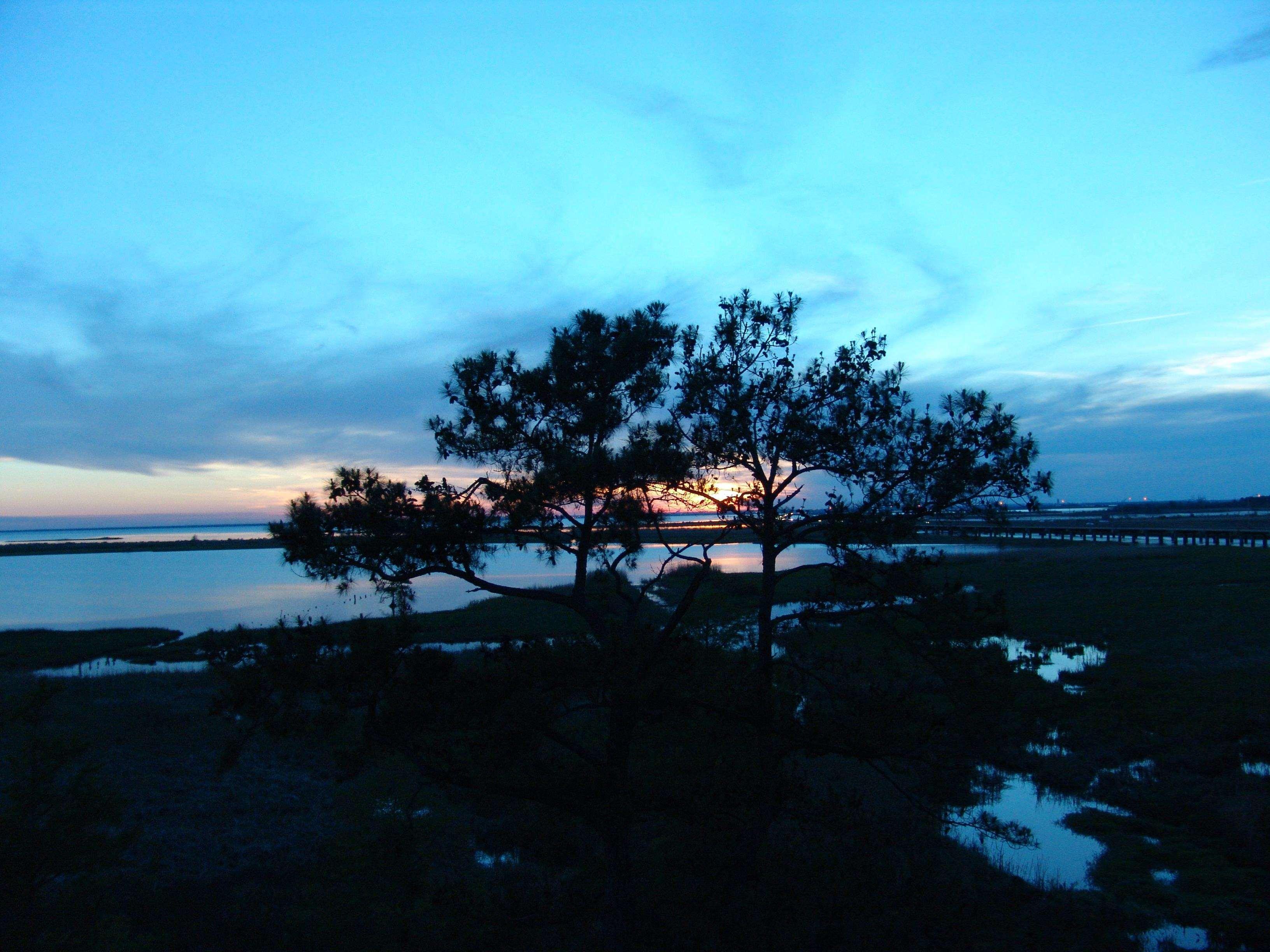 Hampton Inn Mobile/East Bay Daphne Buitenkant foto